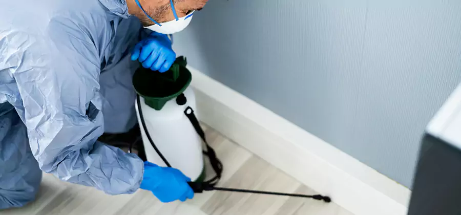 Fumigate Apartment Roaches in West Bloomfield