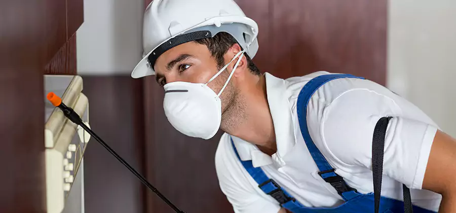Injection Foam Treatment for Drywood Termites in West Bloomfield
