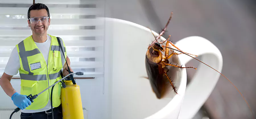German Roach Infestation Treatment West Bloomfield
