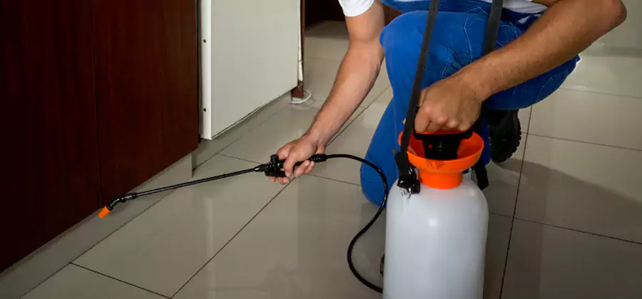 Indoor Mosquito Treatment in West Bloomfield