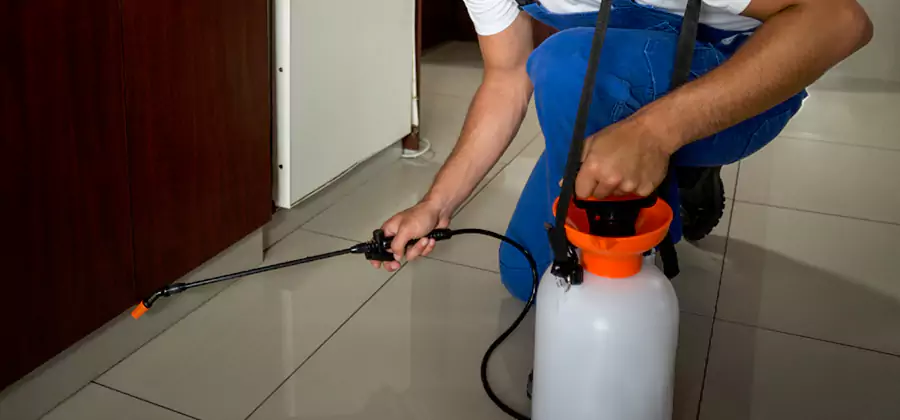 Indoor Insect Killer Solutions in West Bloomfield
