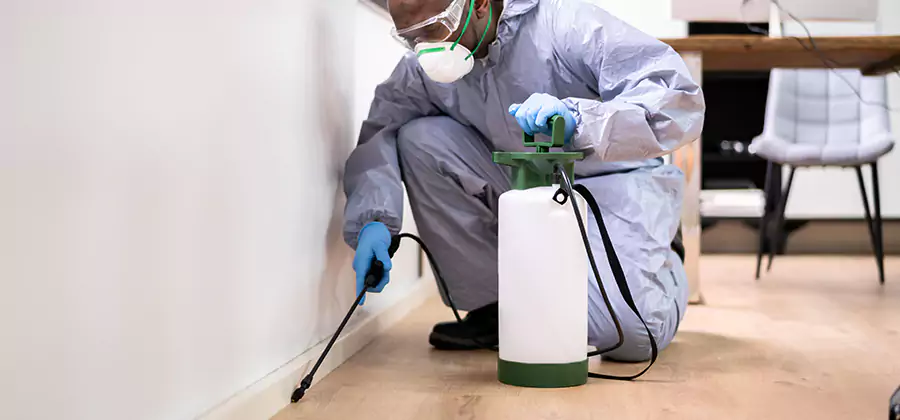 Long Lasting Mosquito Treatment in West Bloomfield