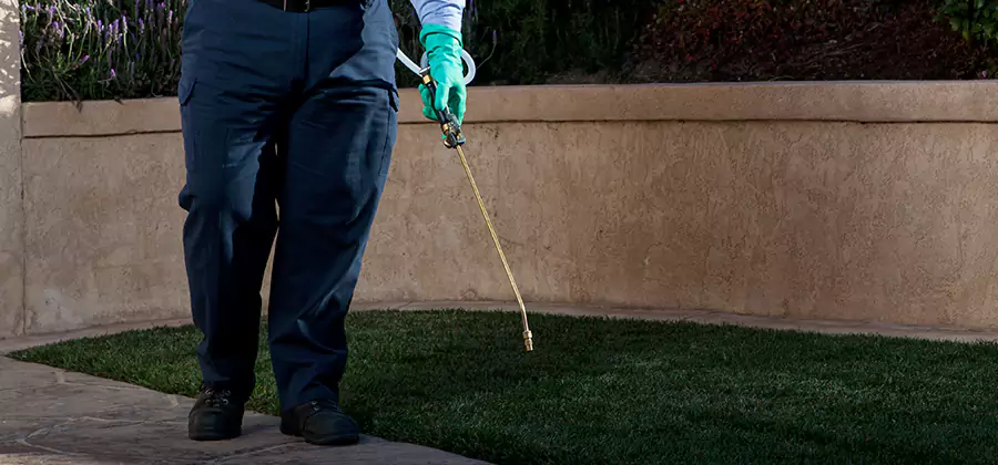 Soil Treatment for New Construction Termites in West Bloomfield