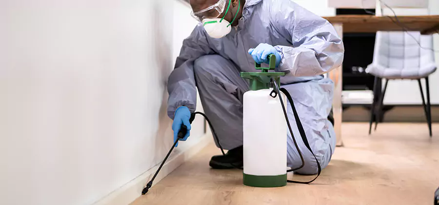 No Tent Termite Extermination With Electric Tool in West Bloomfield