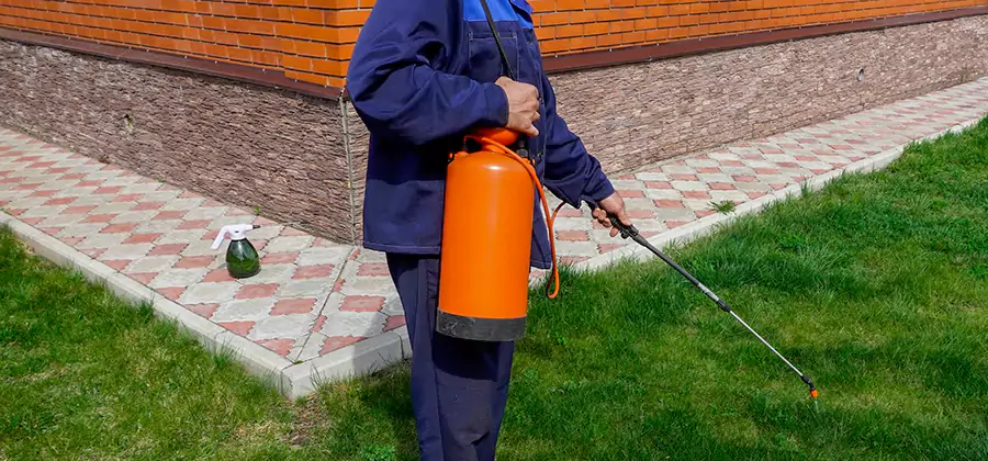 Non Toxic Termite Treatment in West Bloomfield