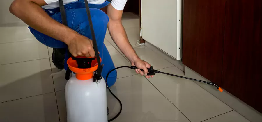 One Time Termite Control in West Bloomfield