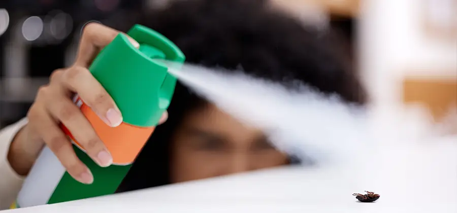 Child Safe Bed Bug Treatment in West Bloomfield