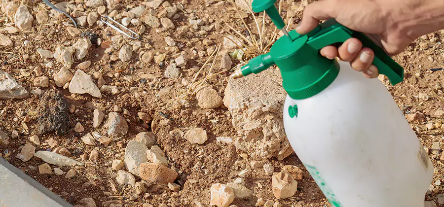 Heat Treatment Termite Cost in West Bloomfield