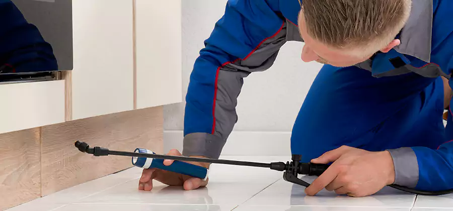 Moisture Treatment For Termite Control Service in West Bloomfield