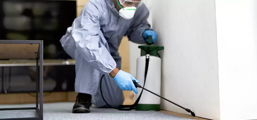 Wood Protection Termite Treatment in West Bloomfield