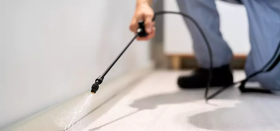 Direct Termite Injection Treatment in West Bloomfield