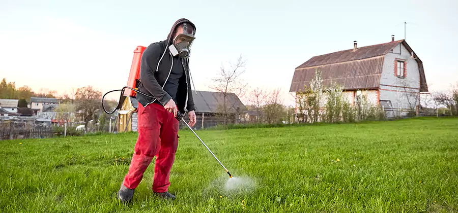 Flea and Tick Pest Control in West Bloomfield
