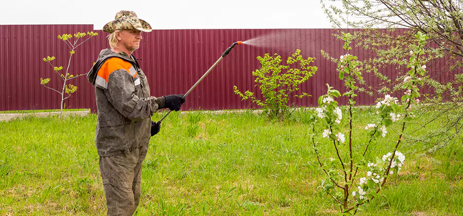 Flea and Tick Spray for Yard in West Bloomfield
