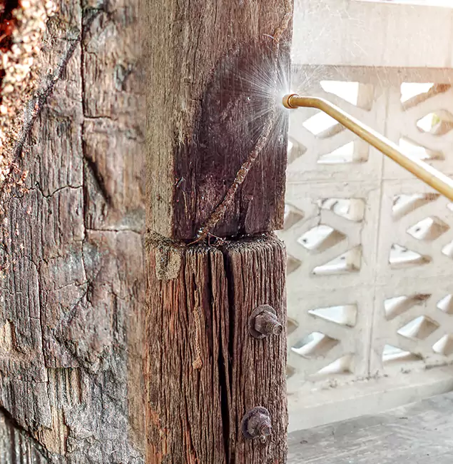 Why Choose West Bloomfield Pest Control Pro for Attic Termite Treatment in West Bloomfield, MI?