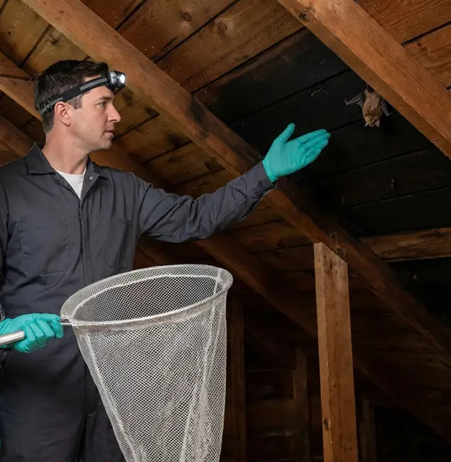 Why West Bloomfield Pest Control Pro Is the Right Choice in West Bloomfield, MI?