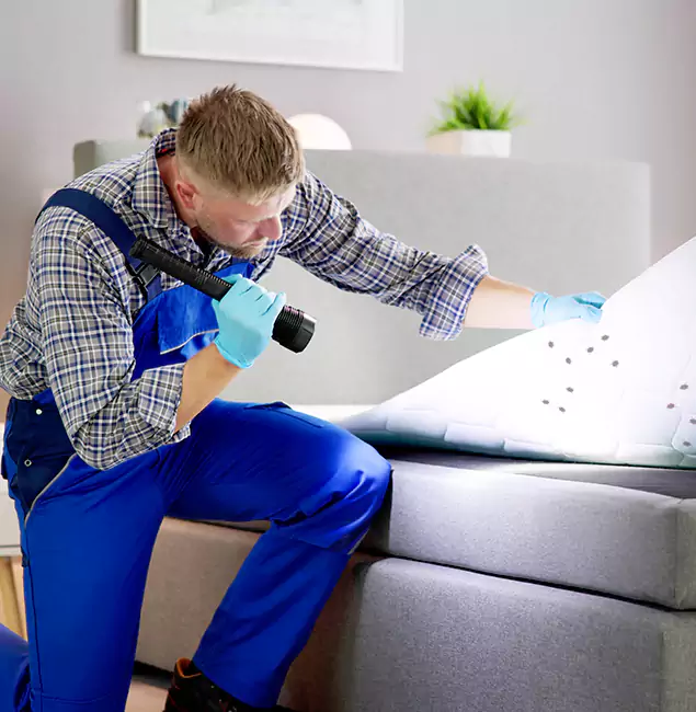 Why Choose West Bloomfield Pest Control Pro for Bed Bug Exterminator Cost in West Bloomfield, MI?