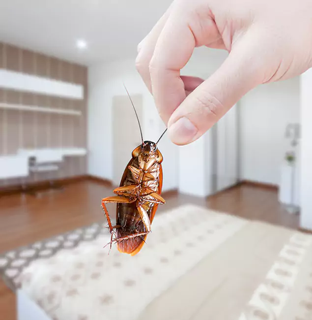 Why West Bloomfield Pest Control Pro Stand Out for Bed Bug Fumigation in West Bloomfield, MI?