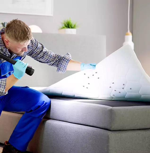 Why Choose West Bloomfield Pest Control Pro in West Bloomfield, MI?