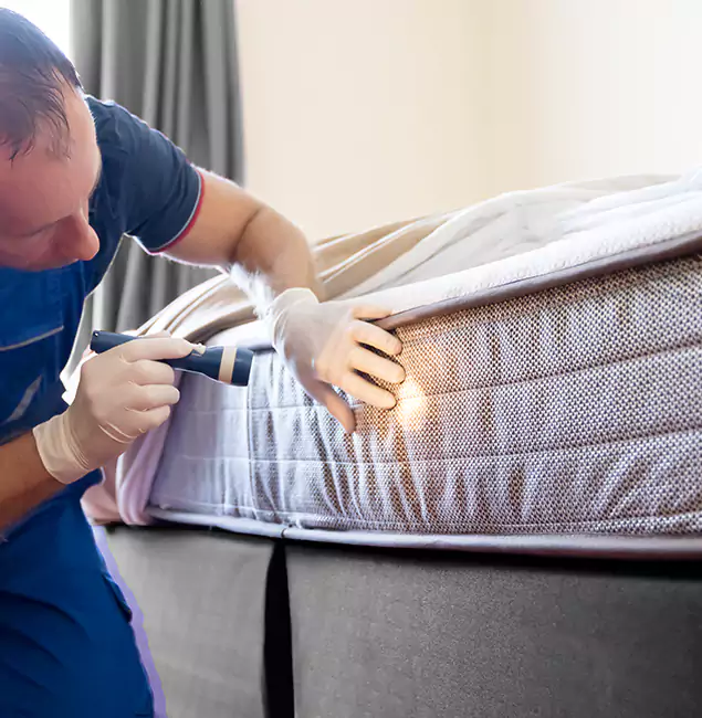Why Choose West Bloomfield Pest Control Pro for Bed Bug Services in West Bloomfield, MI?