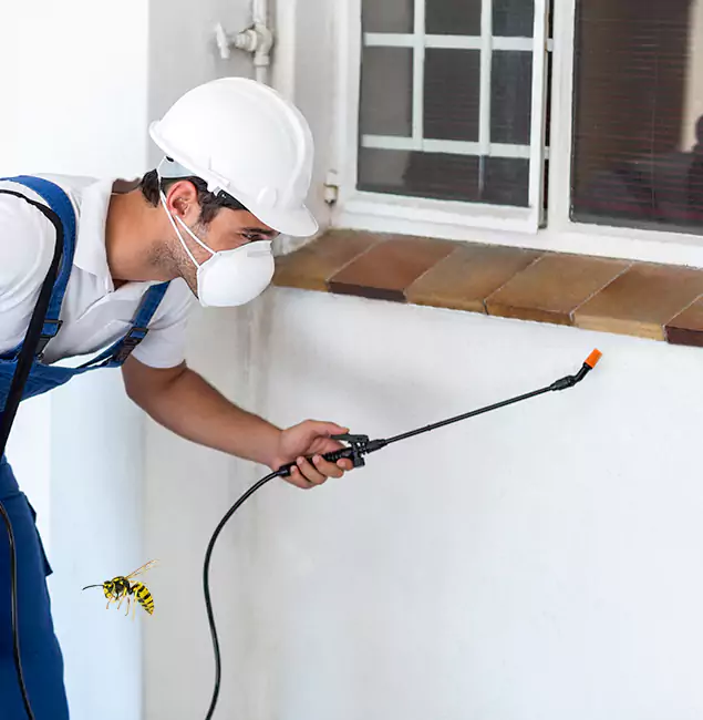 Why West Bloomfield Property Owners Choose West Bloomfield Pest Control Pro for Bee Nest Removal?