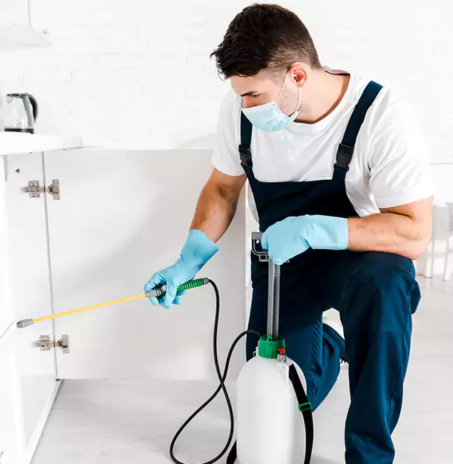 Why Choose West Bloomfield Pest Control Pro for Emergency Pest Control in West Bloomfield?