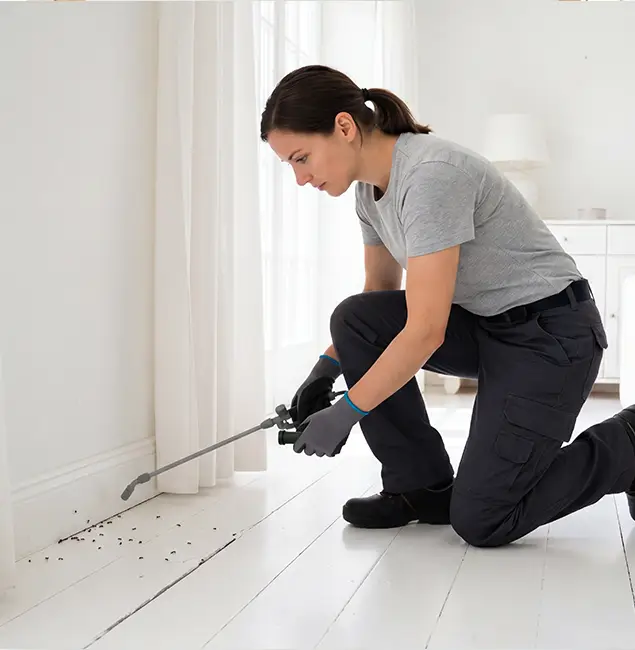 Why West Bloomfield, MI Property Owners Trust West Bloomfield Pest Control Pro for Fire Ant Control?