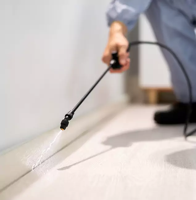 Why Choose West Bloomfield Pest Control Pro for Termite Treatment in West Bloomfield, MI?