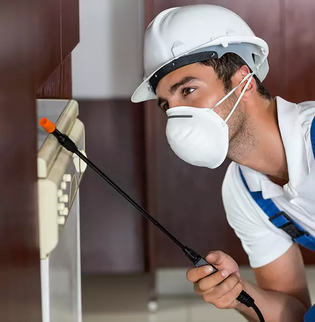 Why West Bloomfield Homeowners Rely on West Bloomfield Pest Control Pro for Tick Treatment?