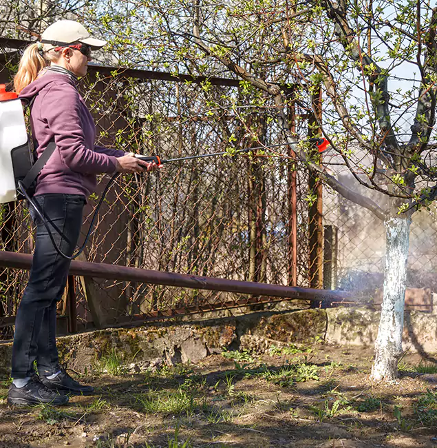 Why West Bloomfield Homeowners Choose West Bloomfield Pest Control Pro for Mosquito Abatement?