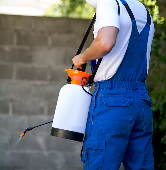 Why West Bloomfield Homeowners Rely on West Bloomfield Pest Control Pro for Mosquito Control?