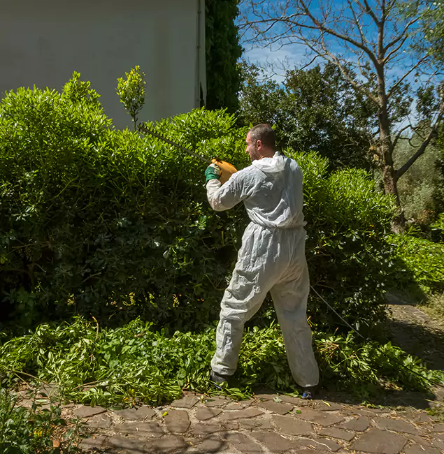Why West Bloomfield Pest Control Pro Leads Mosquito Control in West Bloomfield, MI?