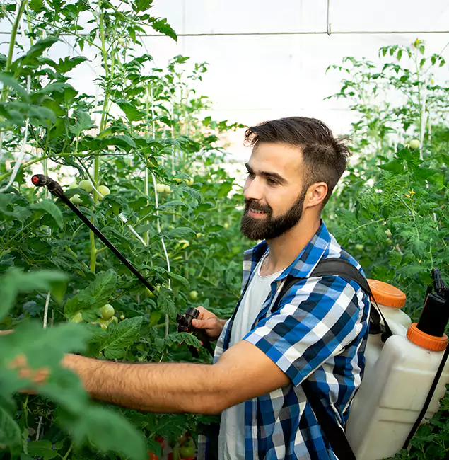 Why West Bloomfield Homeowners Choose West Bloomfield Pest Control Pro for Mosquito Spraying?