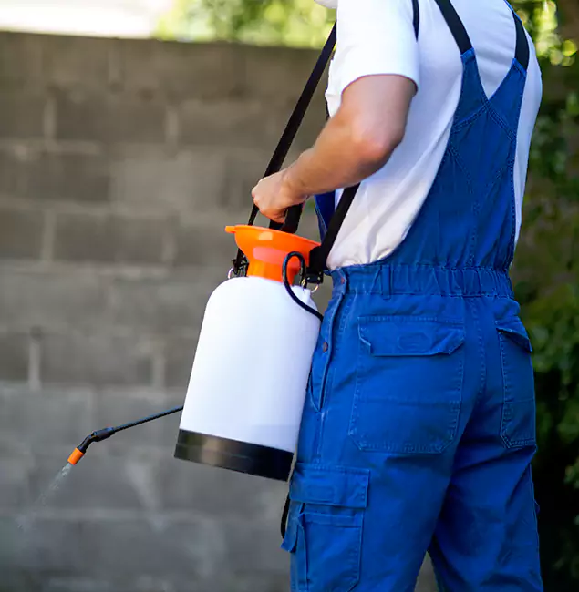 Why West Bloomfield Pest Control Pro Delivers the Best Mosquito Control in West Bloomfield, MI?