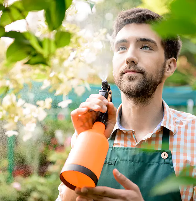 Why West Bloomfield Homeowners Call West Bloomfield Pest Control Pro for Mosquitoes in House?