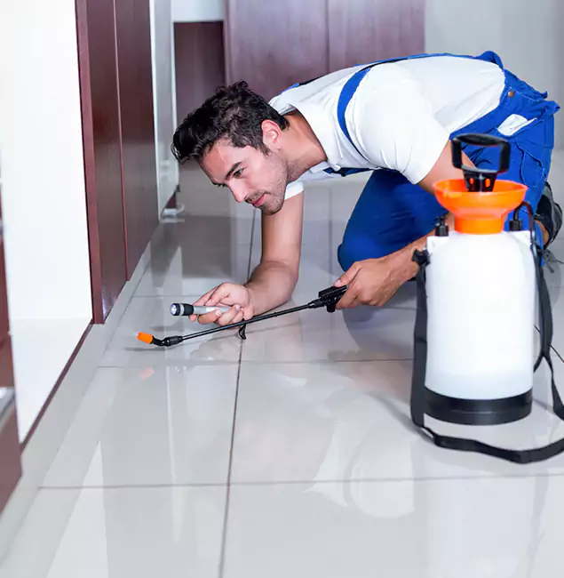 Why West Bloomfield Pest Control Pro Is the Proven Choice in West Bloomfield, MI?