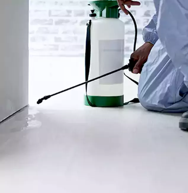 Why Choose West Bloomfield Pest Control Pro for Rat Exterminator in West Bloomfield, MI?