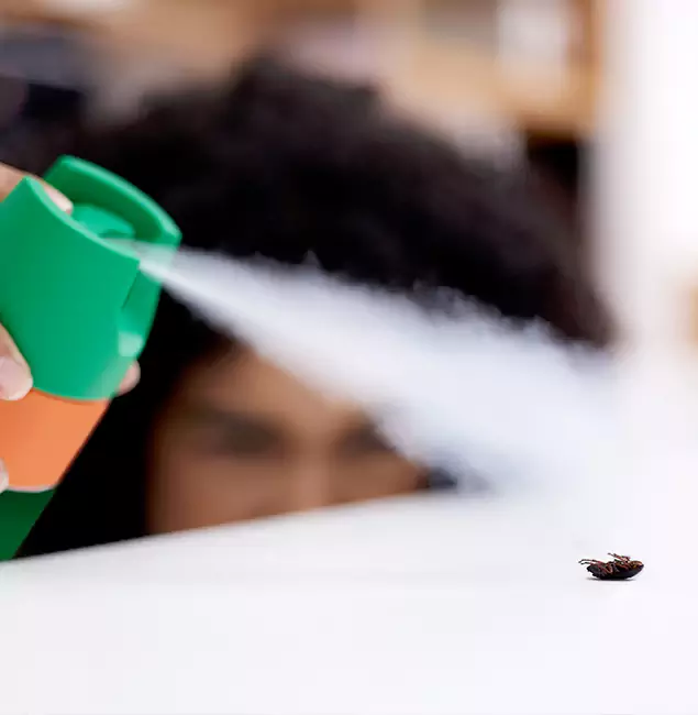 Why West Bloomfield, MI Homeowners Choose West Bloomfield Pest Control Pro for Roach Pest Control?