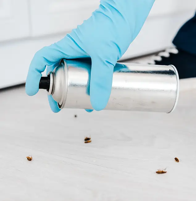 Why Choose West Bloomfield Pest Control Pro for Safe Bed Bug Treatment in West Bloomfield, MI?