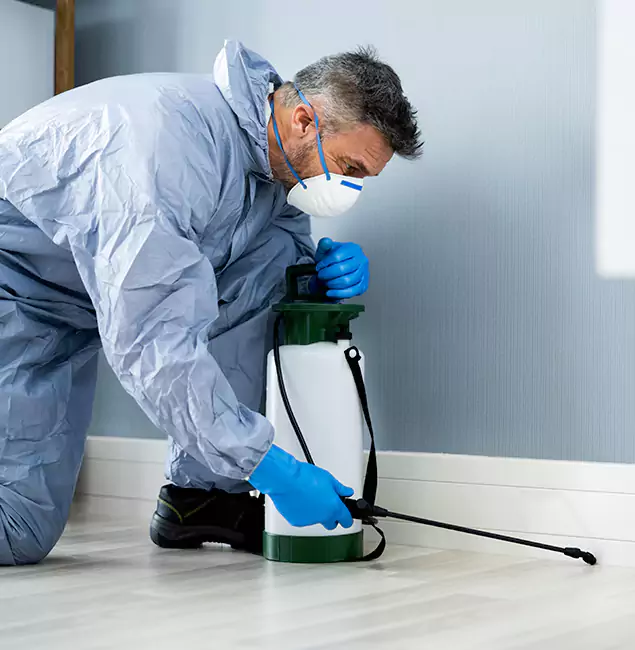 Why Choose West Bloomfield Pest Control Pro for Subterranean Termites Treatment in West Bloomfield, MI?