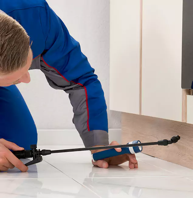 Why West Bloomfield Residents Choose West Bloomfield Pest Control Pro to Get Rid of Sugar Ants?