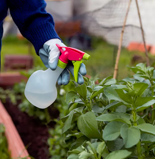 Why West Bloomfield Relies on West Bloomfield Pest Control Pro for Wasp Control Services?