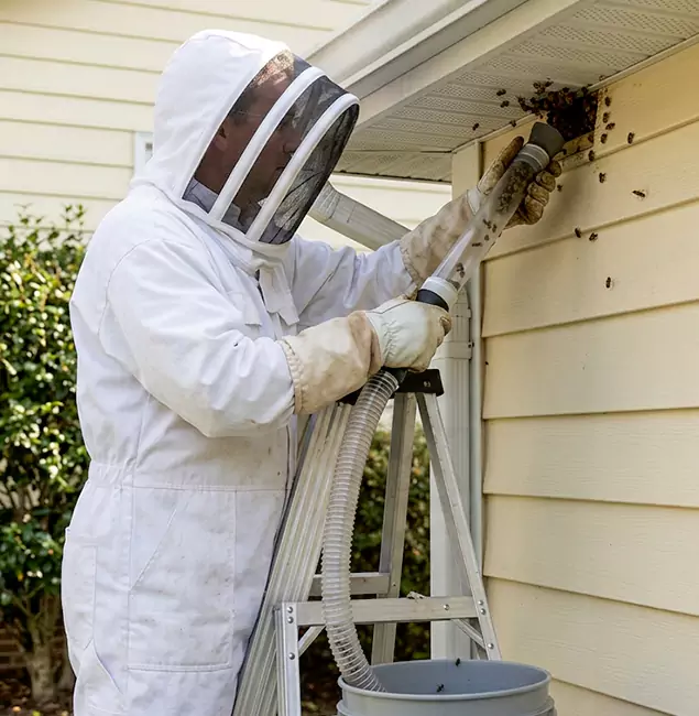 Why West Bloomfield Trusts West Bloomfield Pest Control Pro for Wasp Control?