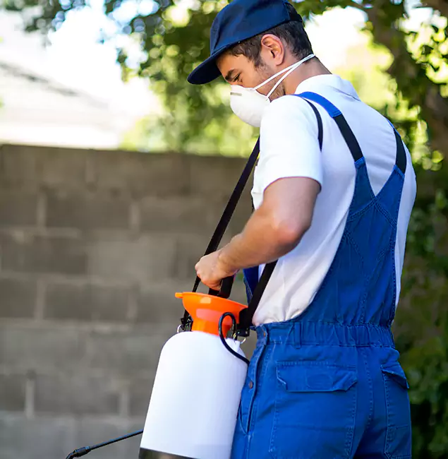 Why West Bloomfield Pest Control Pro Is the Right Choice for Yellow Jacket Removal in West Bloomfield, MI?