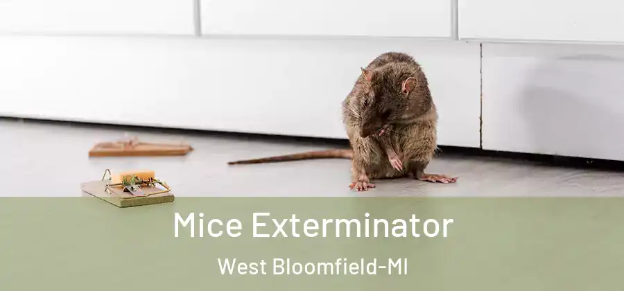 Mice Exterminator West Bloomfield-MI