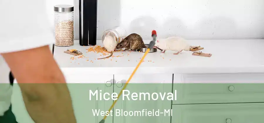 Mice Removal West Bloomfield-MI