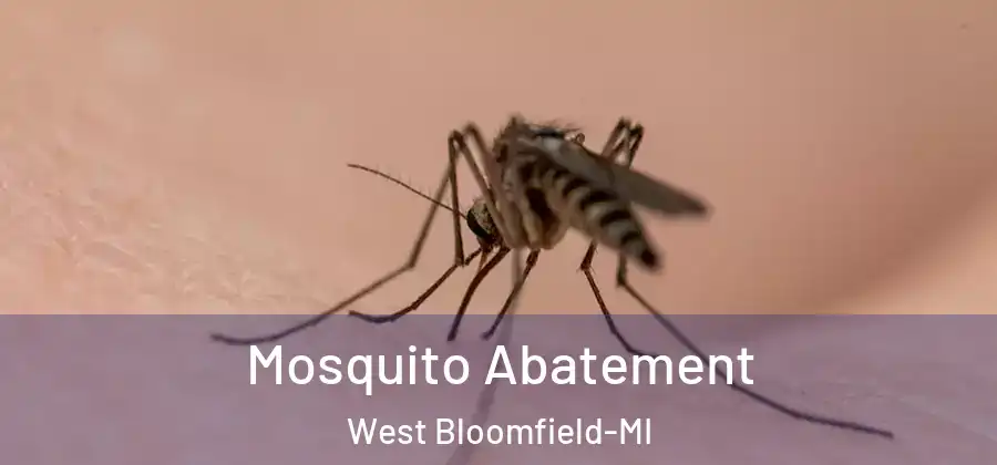 Mosquito Abatement West Bloomfield-MI