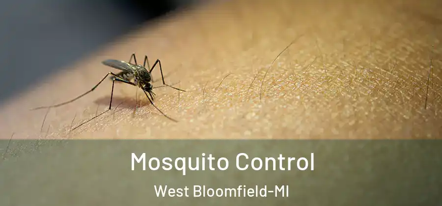Mosquito Control West Bloomfield-MI