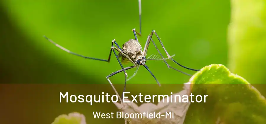 Mosquito Exterminator West Bloomfield-MI