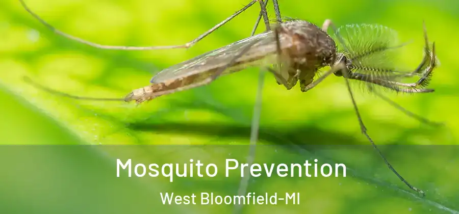Mosquito Prevention West Bloomfield-MI