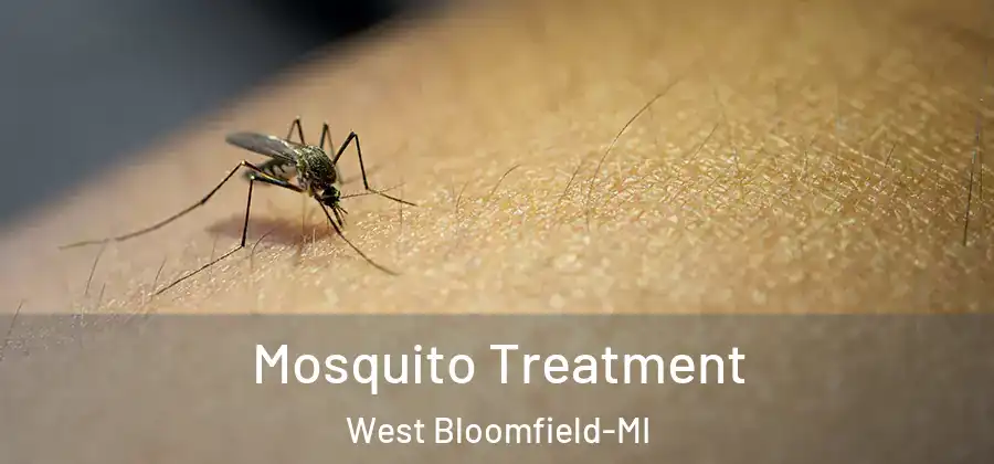 Mosquito Treatment West Bloomfield-MI